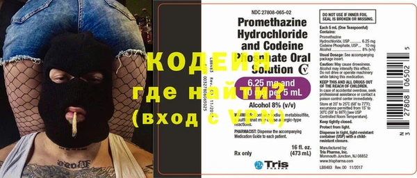 хмурый Инта