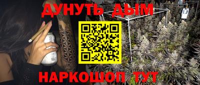 стафф Гатчина