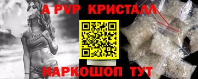 стафф Гатчина