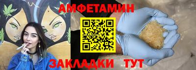 стафф Гатчина