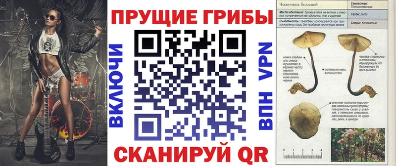где купить наркоту  darknet как зайти  Псилоцибиновые грибы ЛСД  Усть-Лабинск 